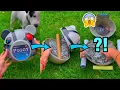 ASMR UNBOXING THE WORLD S LARGEST MYSTERY TOY MYSTERY ROBLOX PIGGY