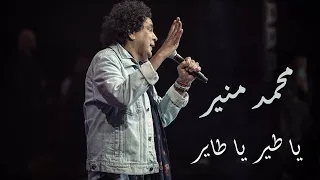                                 محمد منير يا طير يا طاير دندنها