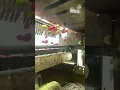 Automated Tomato Sorting Machine