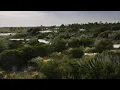 Florida is our home