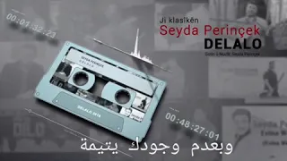 سيدا برينجك دلالو Seyda Perinçek 