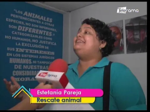 Requisitos para la adopción de mascotas