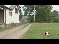 Springfield homicide - 11pm