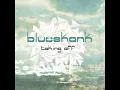 Blueskank Reggae Blues - Brown Skin