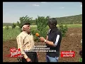 hüseyin amca yediği dayağı anlatıyor orijinal olan bu