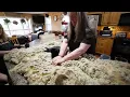 Raw Wool Processing Start to Finish - Sheep & Alpaca Fleece