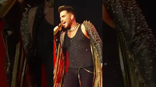 Adam Lambert Tribute To Tina Turner 