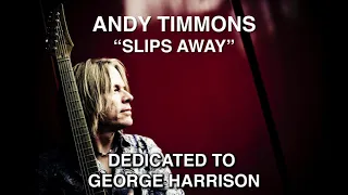 Download Andy Timmons - \ MP3