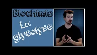 Cours de biochimie: Glycolyse