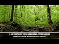 Surah Al Furqan Khalid Al Jaleel - Heart Touching Recitation