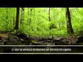 Download Lagu Surah Al Furqan Khalid Al Jaleel - Heart Touching Recitation