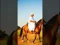No freaking way! Horses galloping on air in Africa! #facts #fyp #viral #viralshorts