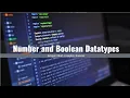 Python Tutorial For Beginners Number and Boolean data types in Python