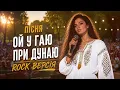 Ой у гаю при Дунаю | Неймовірна емоційна версія, що бере за душу