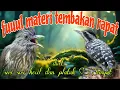 Download Lagu Tembakan rapat 🔥🔥 siri siri kecil dan platuk Sampit