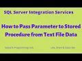 How to Pass Parameter to Stored Procedure from Text File Data SQL Server Integration Services