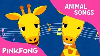 Che Che Koolay Giraffe Giraffe Animal Songs Pinkfong Songs For Children 