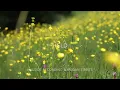 Devotional Worship Collection || Hillside Recording 2025