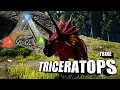 Taming A Triceratops Trike Ark Survival Evolved The Island
