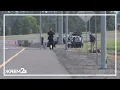 One person killed three others hospitalized in single-car crash near Spokane International Airport