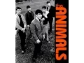 Monterey Pop Festival - Eric Burdon The Animals San Franciscan Nights