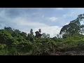 Download Lagu ekspedisi team walet rimba kalimantan menelusuri sungai mencari lokasi populasi burung walet rimba