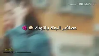 عاصفير الجنة ياتوتة حالات واتس اغنية نانسي عجرم     دندنها