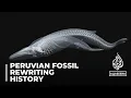 Download Lagu Ancient whale found in Peru may be the heaviest animal ever