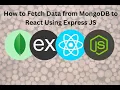 MERN STACK Tutorial Fetch Data from MongoDB to React Using Express JS