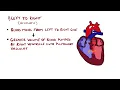 Congenital Heart Malformations Made Easy (8 Main Types)