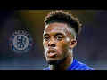 Download Lagu Callum Hudson-Odoi 2021/22 - Best Skills, Goals \u0026 Assists (HD)