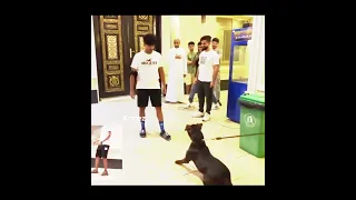 تصميم مودي   العتيبي يكتب بالتعليقات    مودي عتيبه  باور باور الافضل      دندنها