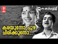 Download Lagu Karayunno Puzha Chirikunno - Murapennu (1965) | K.J Yesudas | P Bhaskaran | B.A Chidambaranath MP3