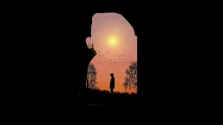 حبيبي بعيني الك دمعة    قاسم سلطان    كاملة   دندنها