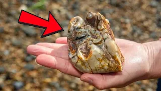 Boy Found A Strange Object During A Beach Walk, But What Experts Revealed Shocked Everyone