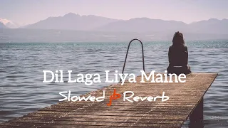 Download Dil Laga Liya Maine | Slowed Reverb | Song | Udit Narayan , Alka Yagnik | JB Khan Editzz MP3