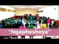 Download Lagu TTWCOG 2025 Ngaphesheya (eSwatini )