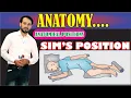 Sim s Position Anatomical Positions Explained Practically Learn Conceptually