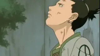 شيكامارو ضد تيماري 