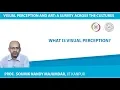 What is Visual Perception
