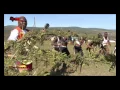 Download Lagu THOKOZANI LANGA - BHEKA NGAKIMI - (MASKANDI MUSIC)