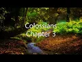 The Book of Colossians Chapter 3 - New King James Version NKJV