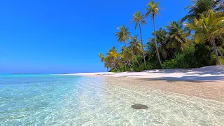 Paradise Found Maldives Beach And Crystal Turquoise Waters Ocean 4K Ultra HD 