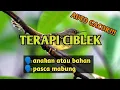 Download Lagu TERAPI MALAM HARI CIBLEK AUTO GACOR