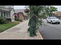 New Jersey officers dress up as shrubs to catch distracted drivers on their phones