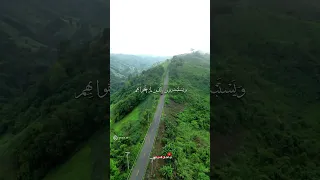 ف ر ح ين ب م ا آت اه م الل ه م ن ف ض ل ه المنشاوي 