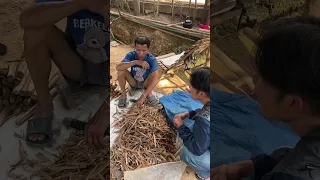 หมู่บ้านปางมะขามป้อม