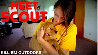 I Got Kaylee a Puppy Meet Scout