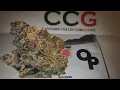 Gas Mask by OP One Plant - 30