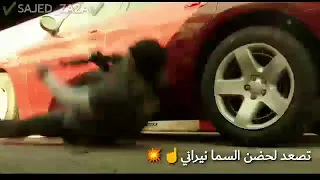 جبل انا ومين يطك بركاني 